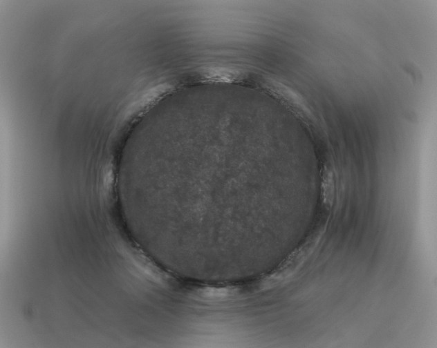 X0000115040314200911091410