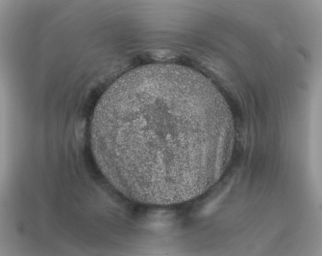 X0000115040319200911091410