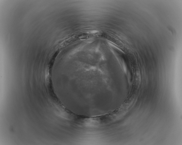 X0000115040320200911091410
