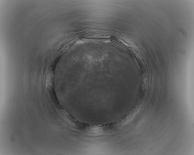 X0000115040325200911091410