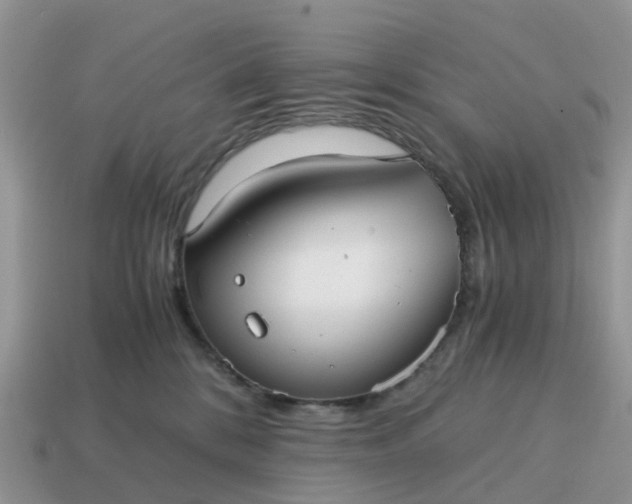 X0000115040328200911091410