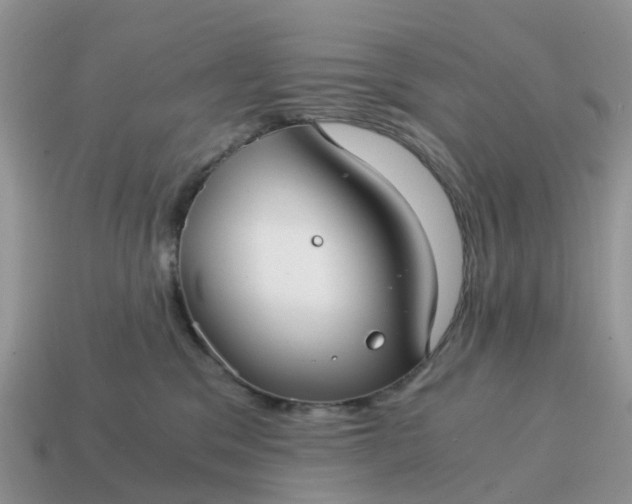 X0000115040329200911091410
