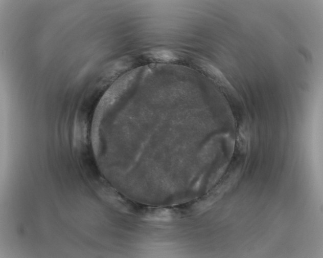 X0000115040330200911091410