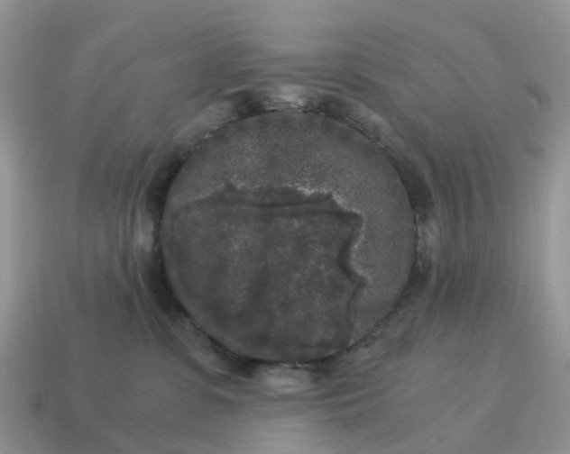X0000115040331200911091410