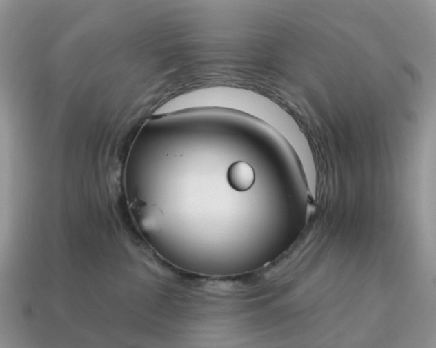 X0000115040332200911091410