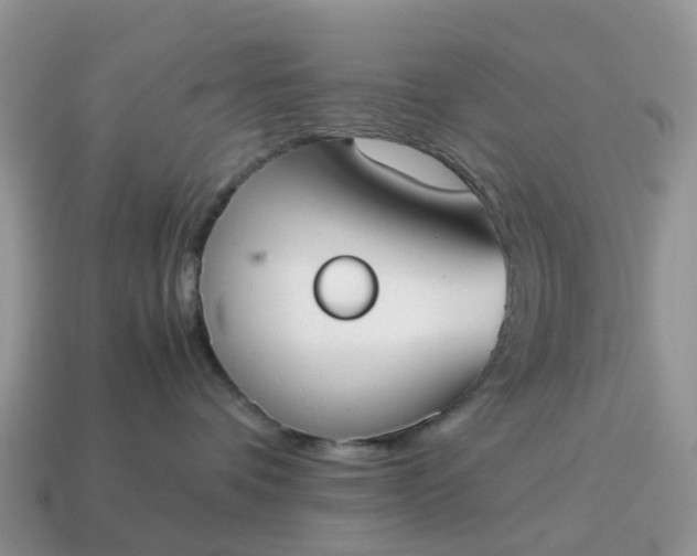 X0000115040336200911091410
