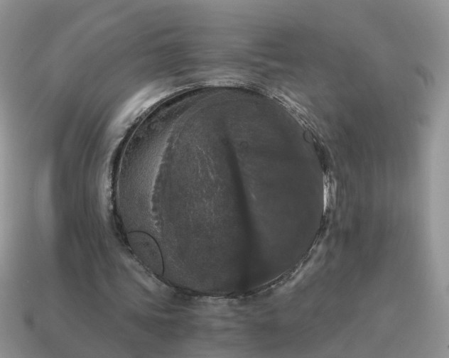 X0000115040339200911091409