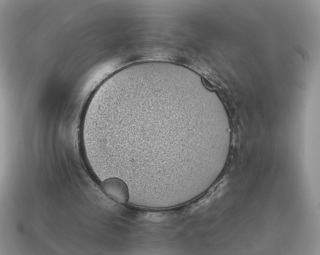X0000115040341200911091409
