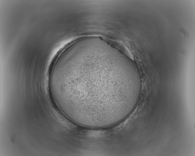 X0000115040342200911091409