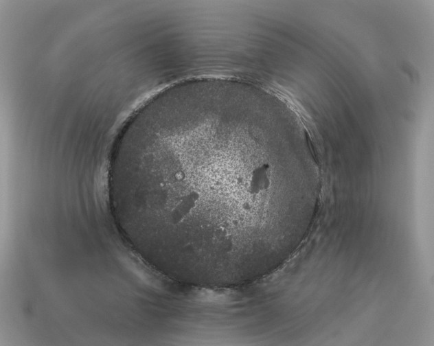 X0000115040346200911091409