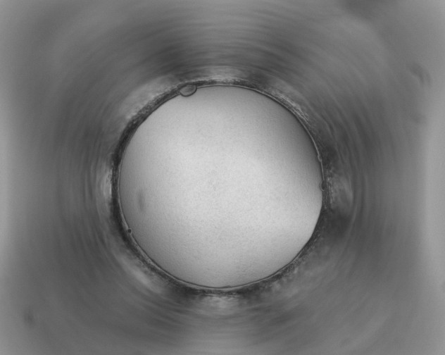 X0000115040350200911091409