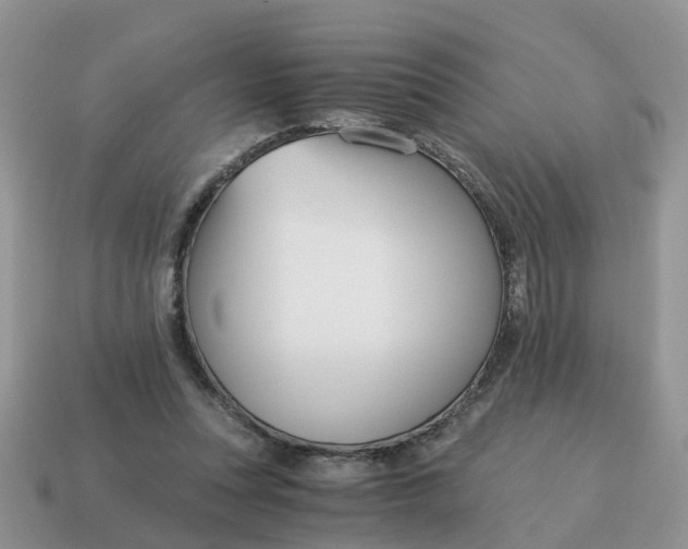 X0000115040351200911091409