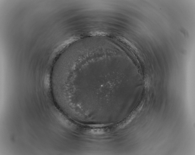 X0000115040353200911091409