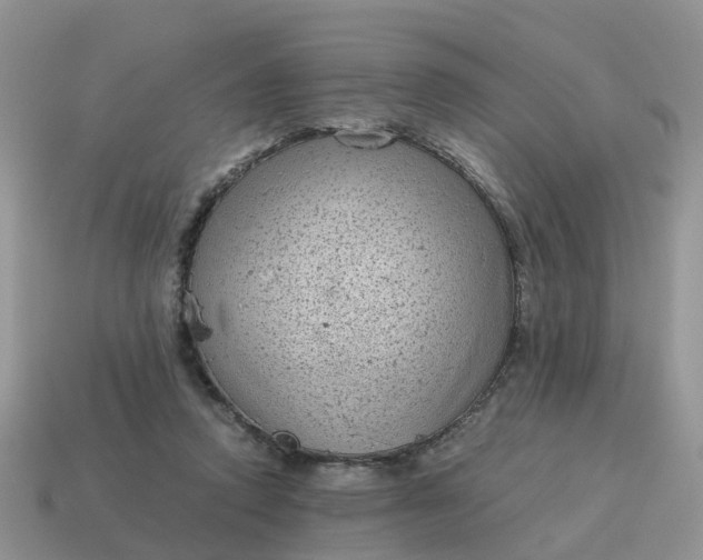 X0000115040354200911091409