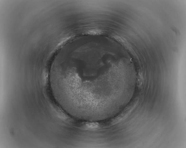 X0000115040355200911091409