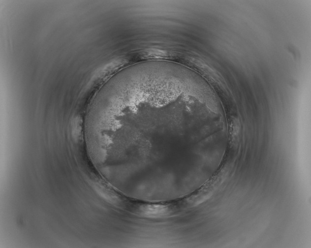 X0000115040361200911091410
