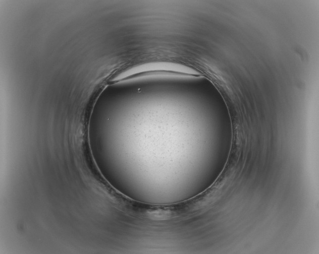 X0000115040362200911091410