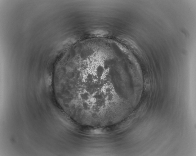 X0000115040365200911091410