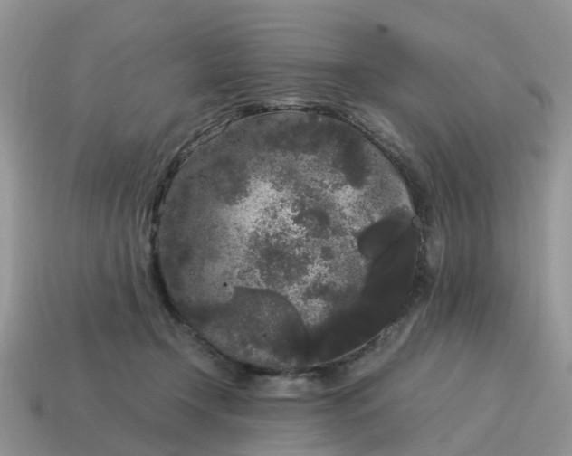 X0000115040366200911091410