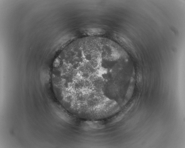 X0000115040367200911091410