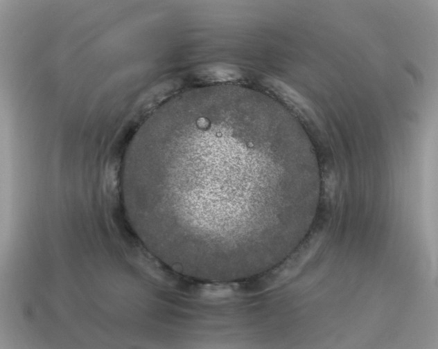 X0000115040373200911091410