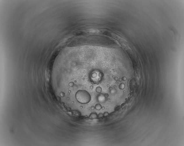 X0000115040374200911091410
