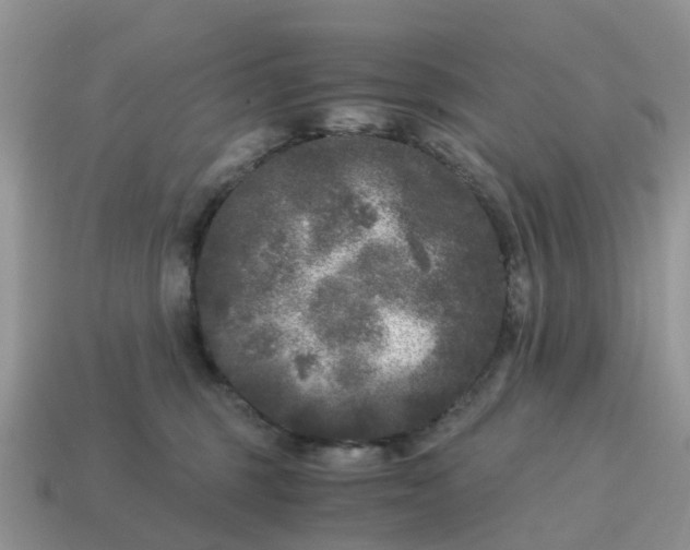 X0000115040375200911091410