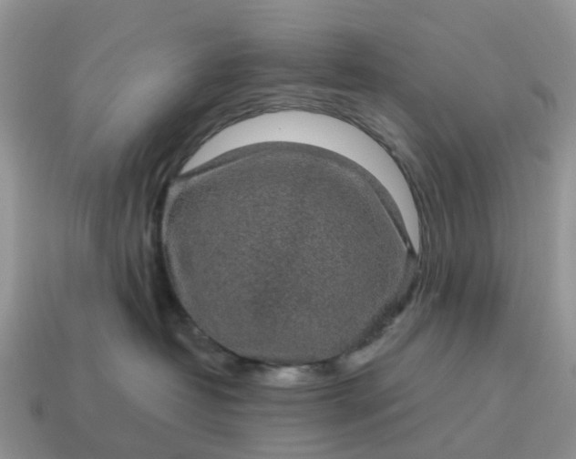 X0000115040382200911091410