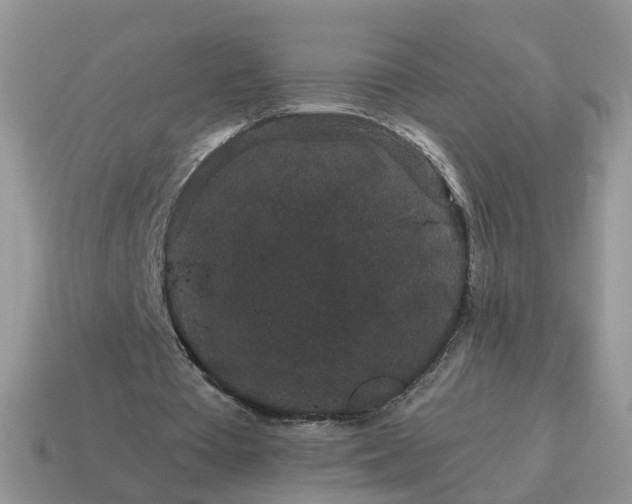 X0000115040385200911091409