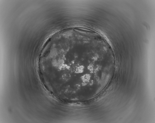 X0000115040386200911091409