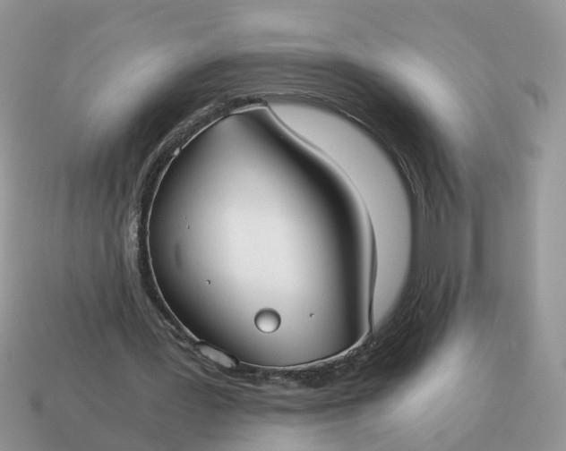 X0000115040387200911091409