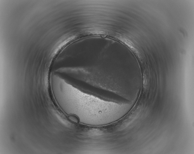 X0000115040390200911091409