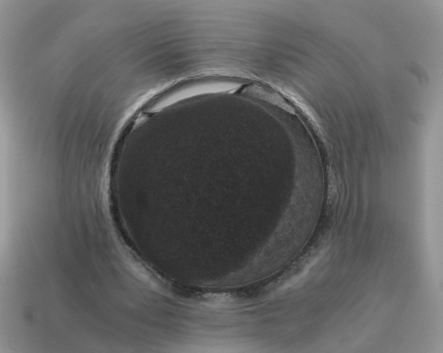 X0000115040391200911091409