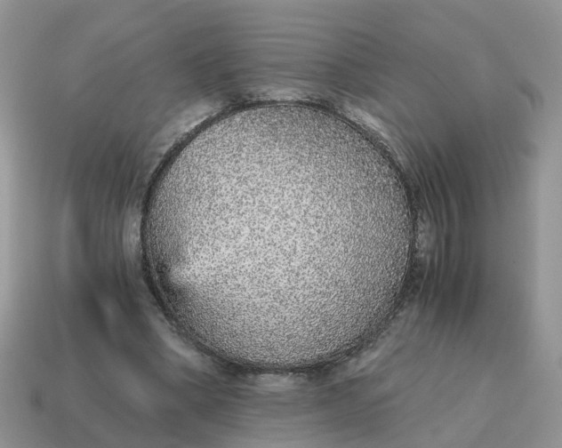 X0000115040394200911091409