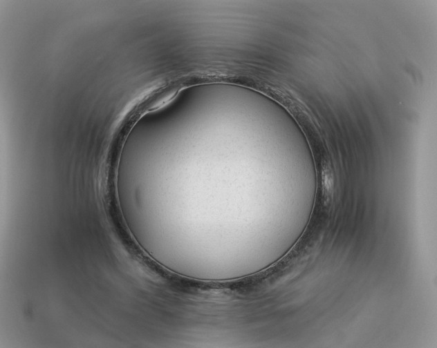 X0000115040396200911091409
