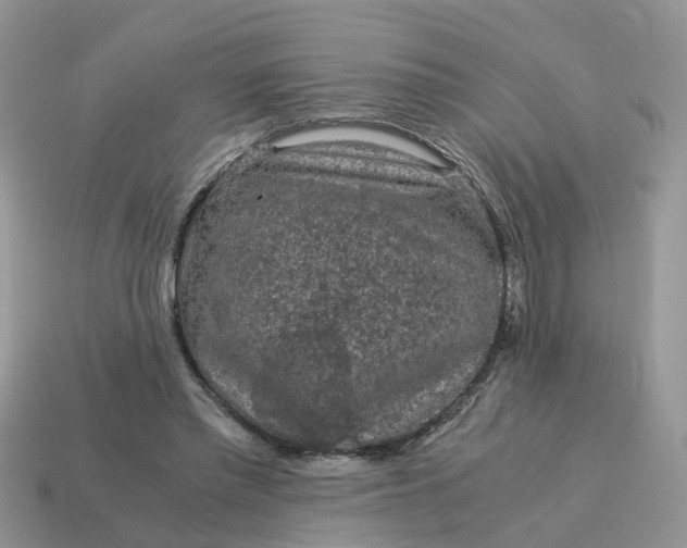 X0000115040397200911091409