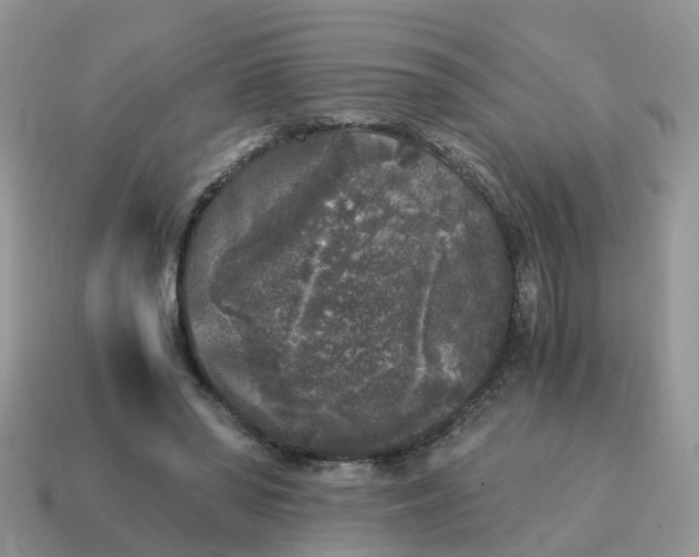 X0000115040398200911091409