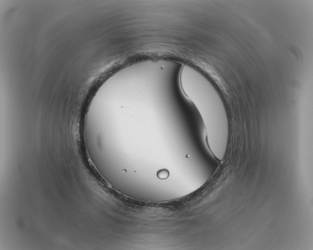 X0000115040399200911091409