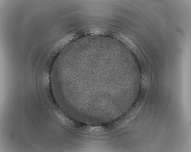 X0000115040401200911091409