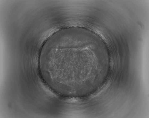 X0000115040402200911091409