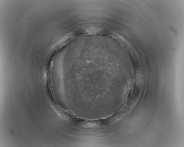 X0000115040405200911091409