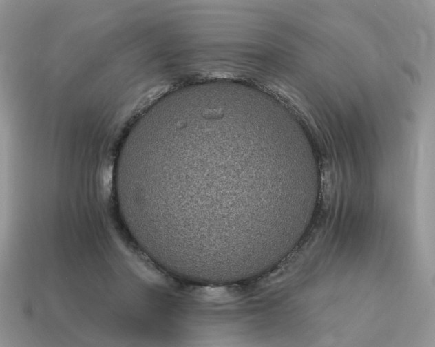 X0000115040406200911091409