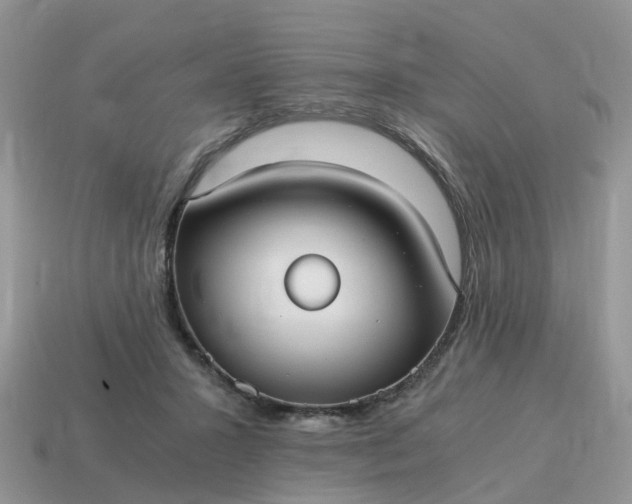 X0000115040407200911091409