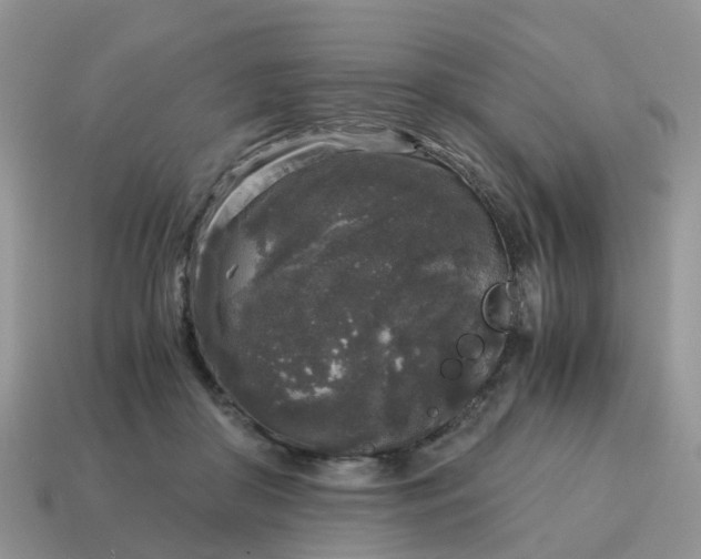 X0000115040410200911091409
