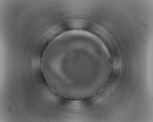X0000115040411200911091409