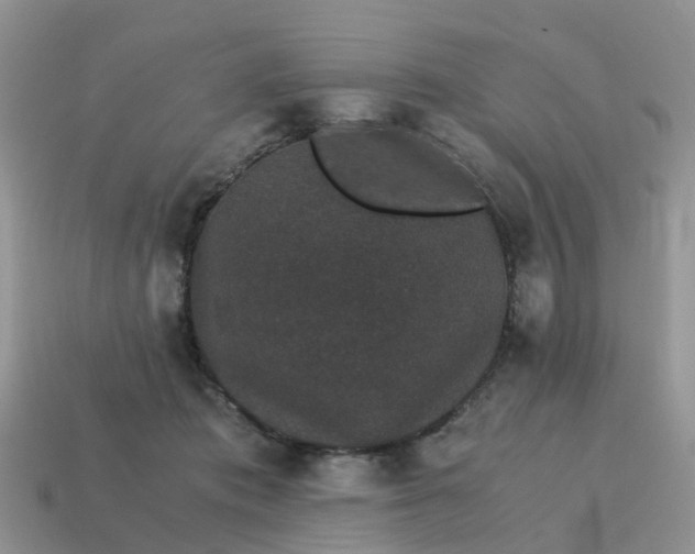 X0000115040413200911091409