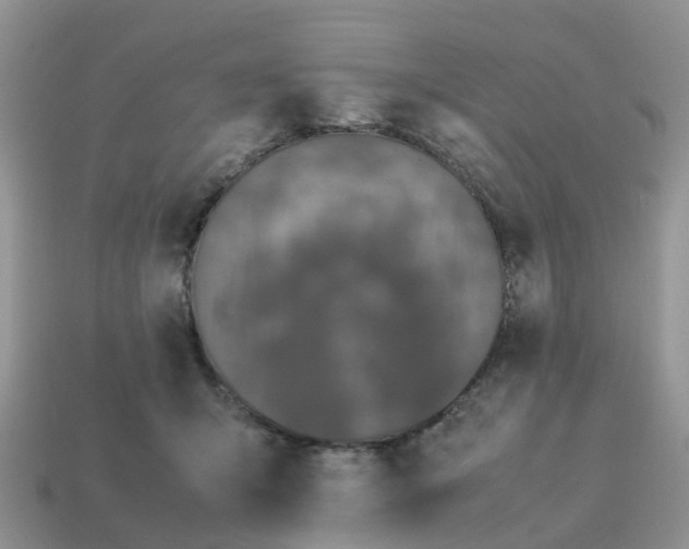 X0000115040415200911091409