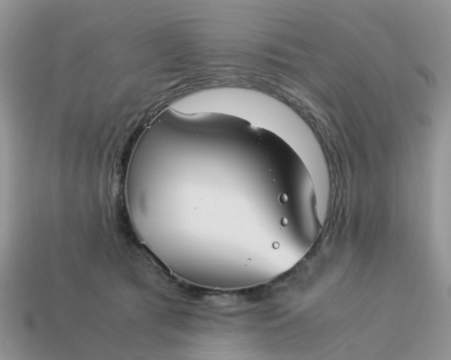 X0000115040417200911091409