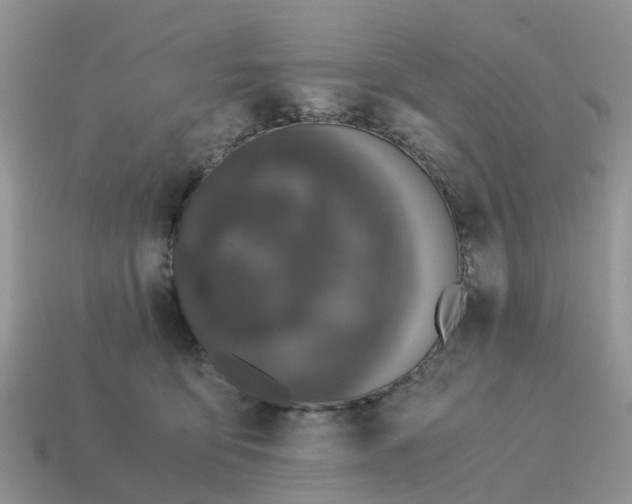 X0000115040419200911091409