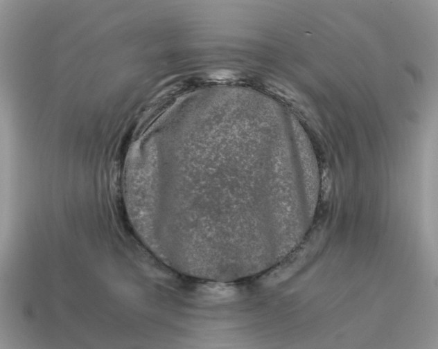 X0000115040421200911091409